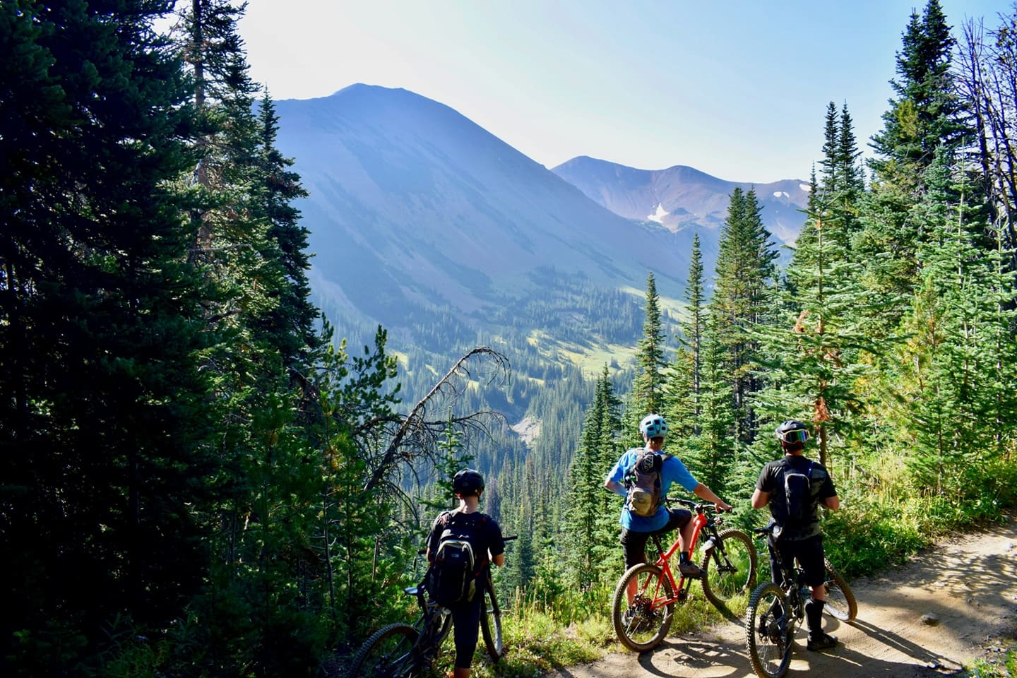 Cycling and running routes in nature